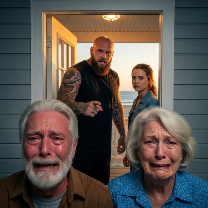 Whisk_20015351f90b13c82e64c87a5d6e478bdr