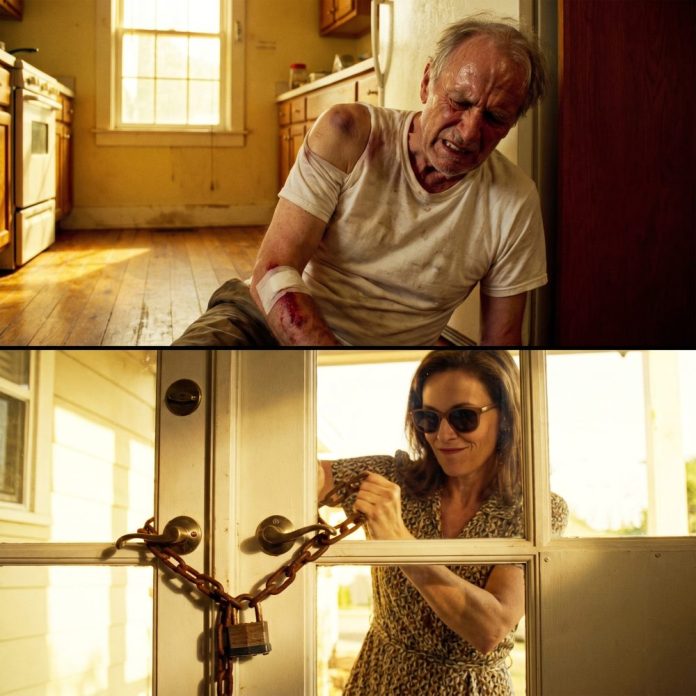 Photorealistic_split-screen_image,_1_1_aspect_202605100516 (1)